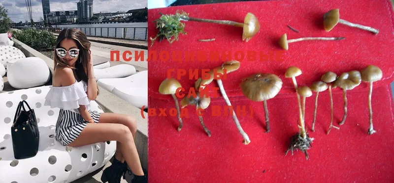 Псилоцибиновые грибы Magic Shrooms  Ардон 